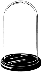 Glass dome with a black acrylic base