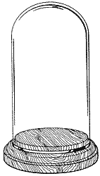 Glass Domes with Hardwood Bases
