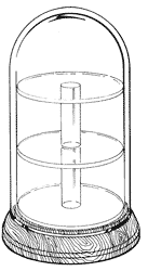 Glass Domes with Round Shelves