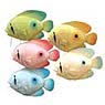 4" Fish, 6 asstd on a wire