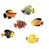 Tropical Fish 6 asstd
