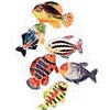 Tropical Fish, 6asstd colors 4.5"