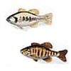 Freshwater Fish, 11"