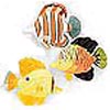 24" Tropical Fish